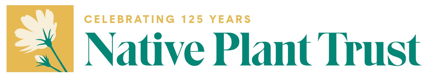 Celebrating 125 Years: Native Plant Trust