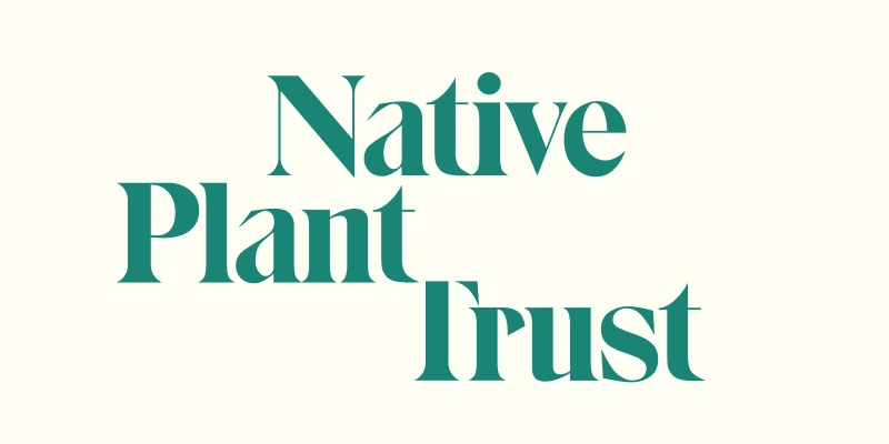 Making Colorful Arrangements with Native Evergreens placeholder image