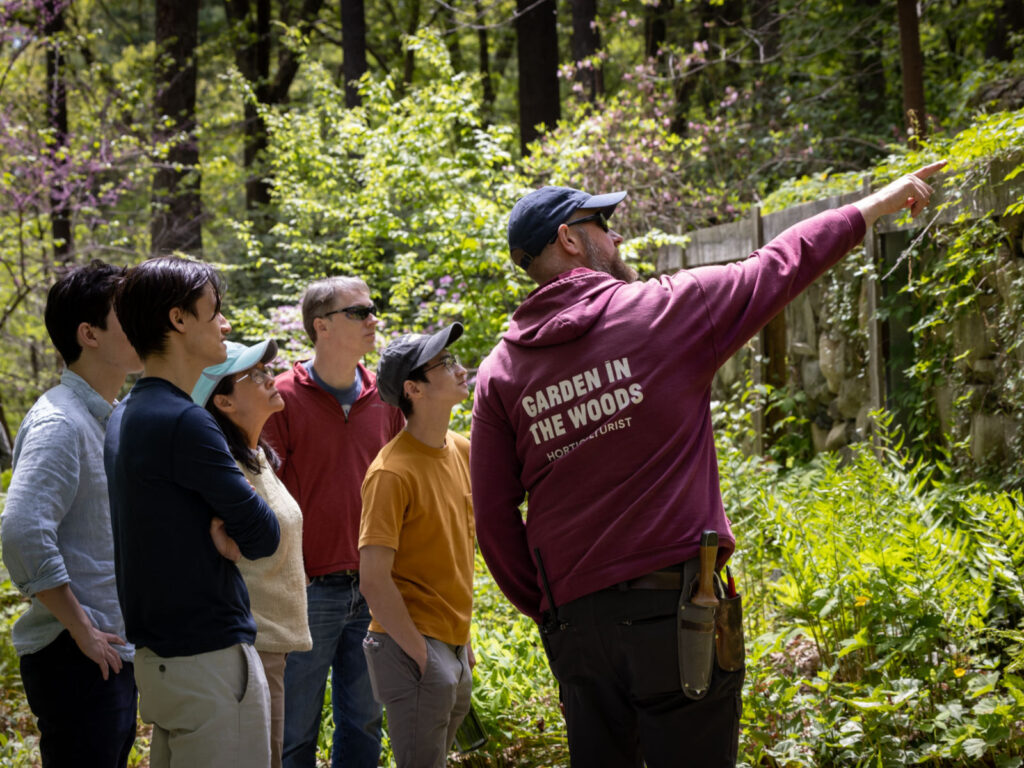 Native Plants for Professionals
