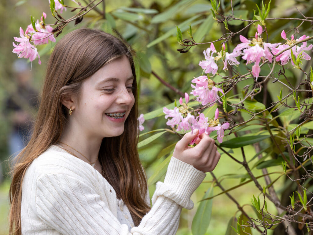 How Plants Sense and Respond