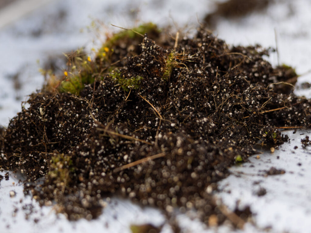 Understanding and Managing Soils