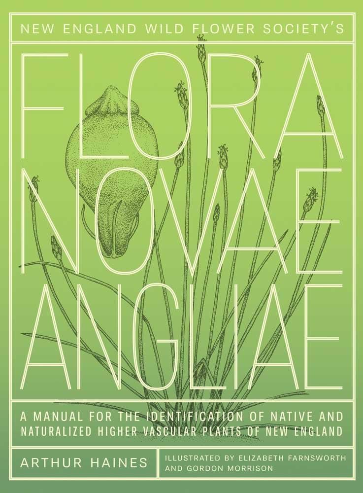 Flora Novae Angliae
