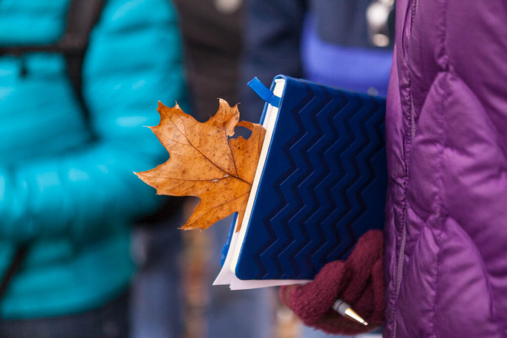 Nature Journaling