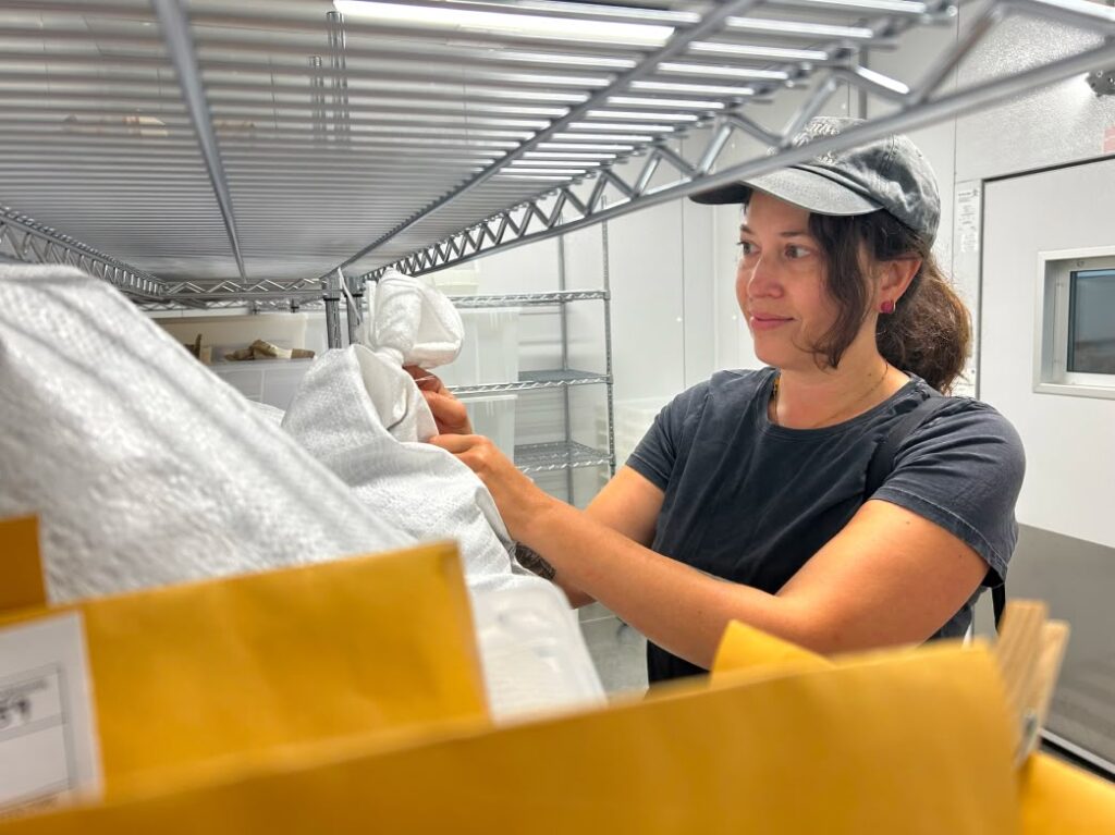 Lead Restoration Accelerator Seed Collection Technician