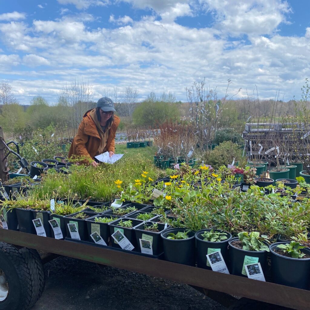 Member’s Plant Swap