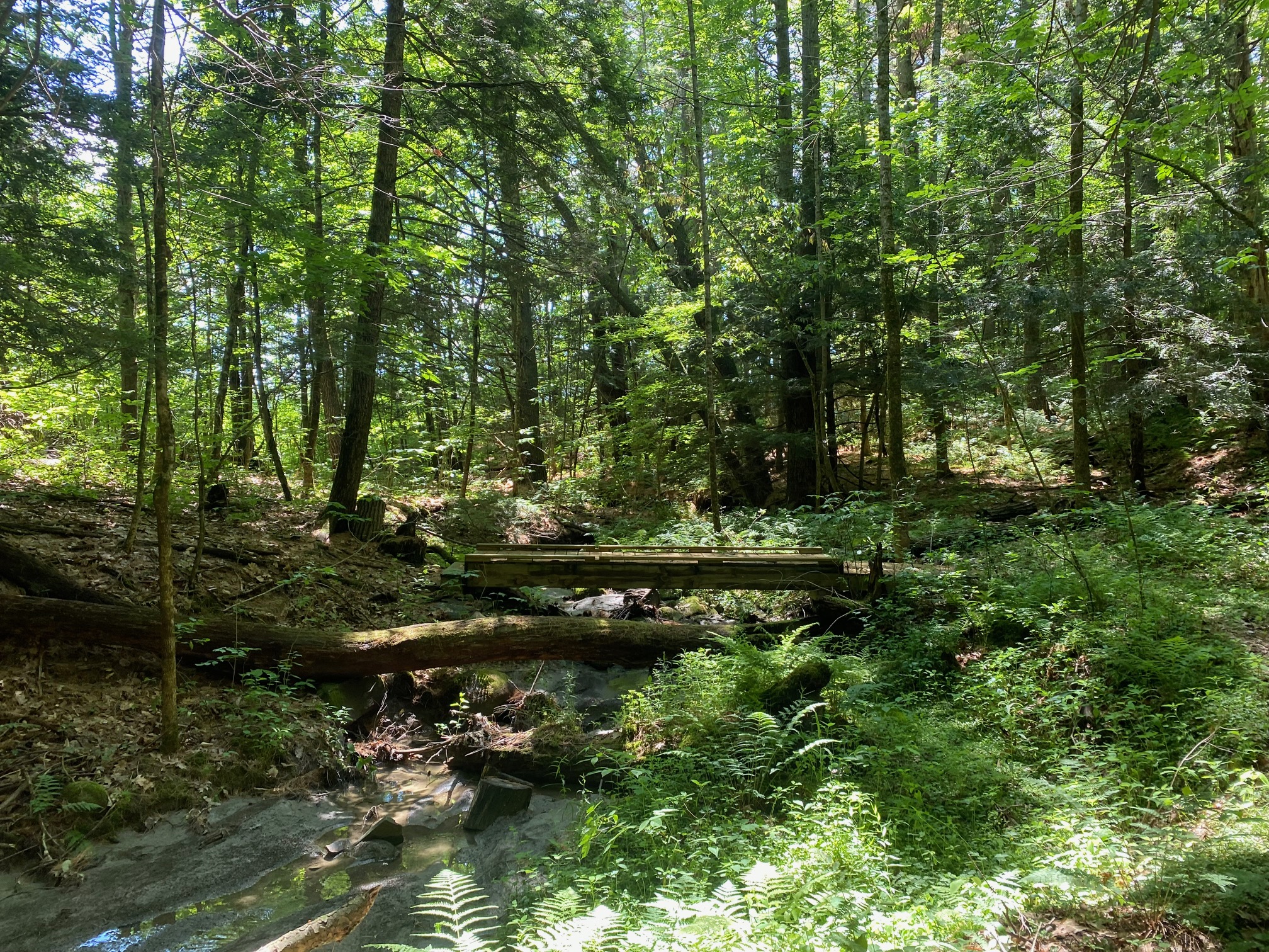 Sturgis bridge steambed