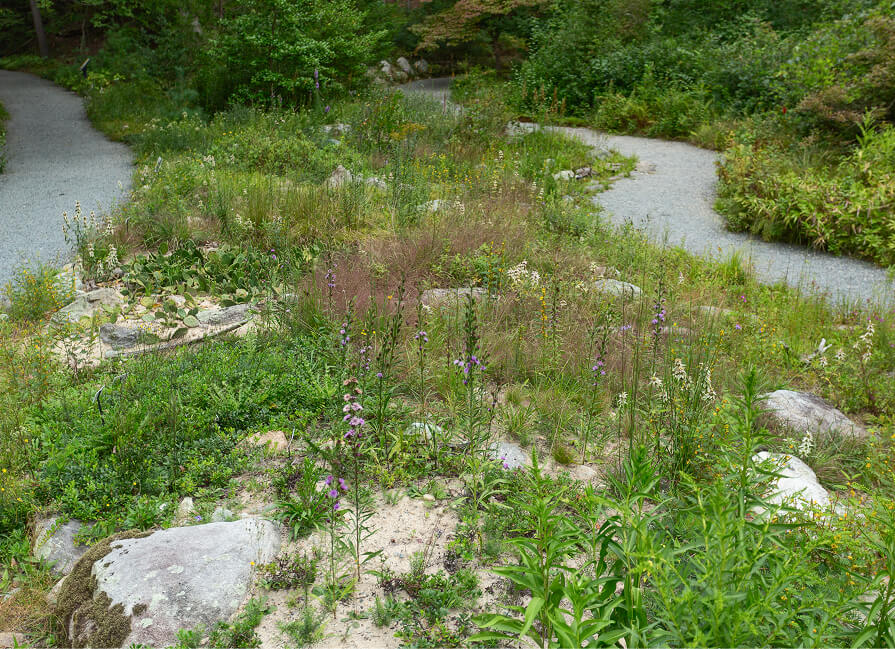 Ecological Horticulture
