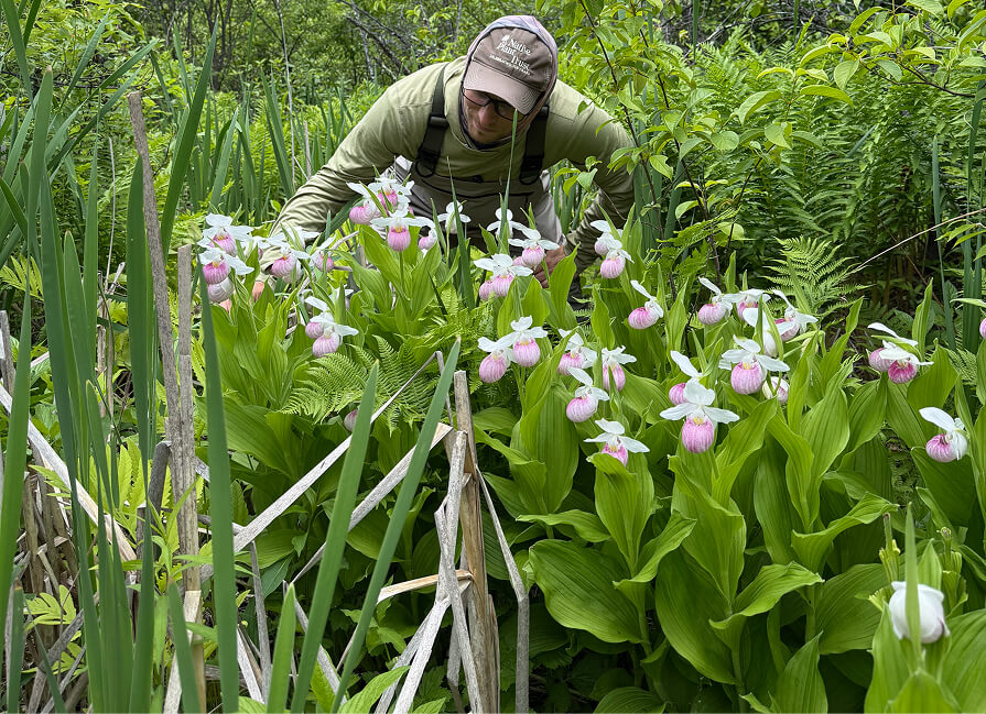 Monitoring Rare Plants
