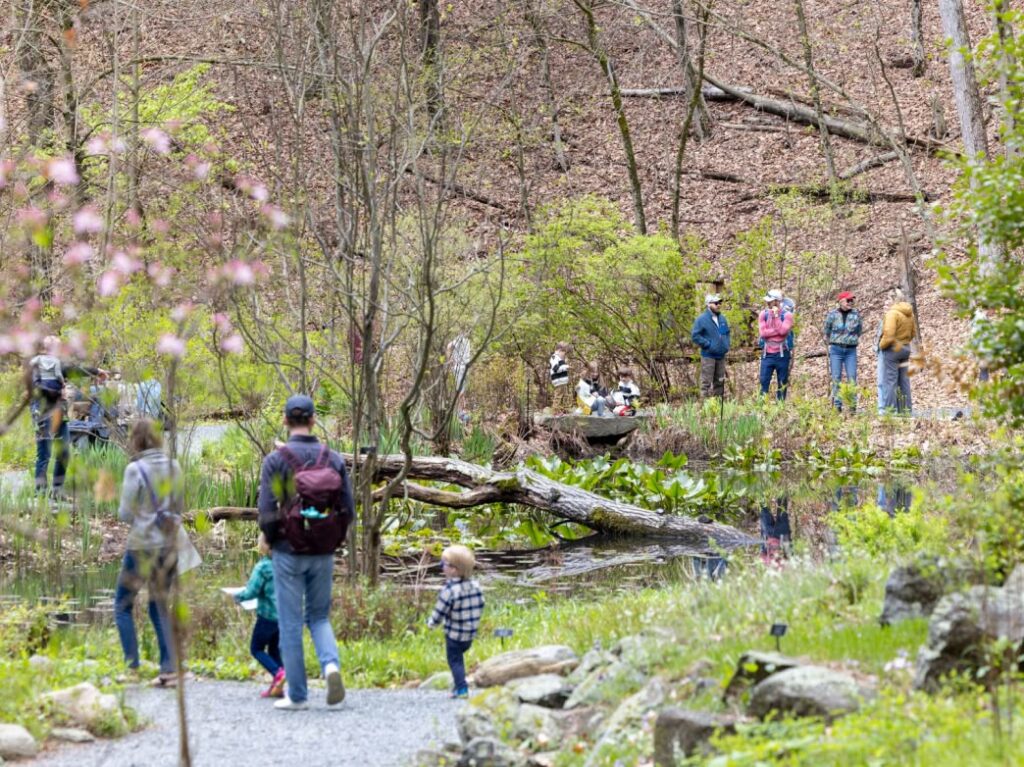 Families enjoying Garden in the Woods
