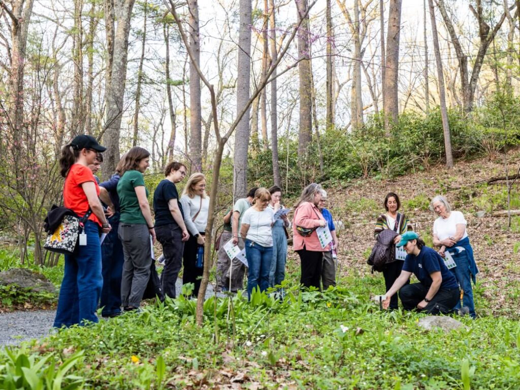 Group enjoying event outdoors at Garden in the Woods