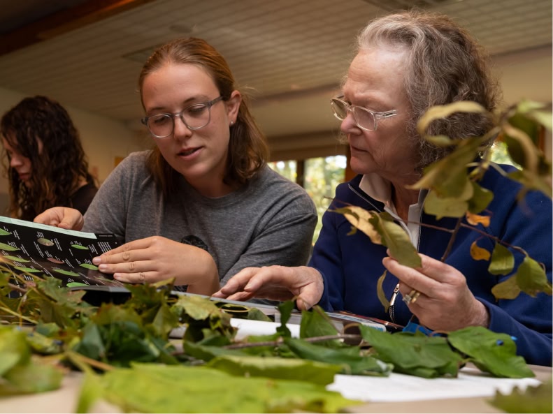 Senior woman and younger woman identifying plants in an indoor class by Native Plant Trust