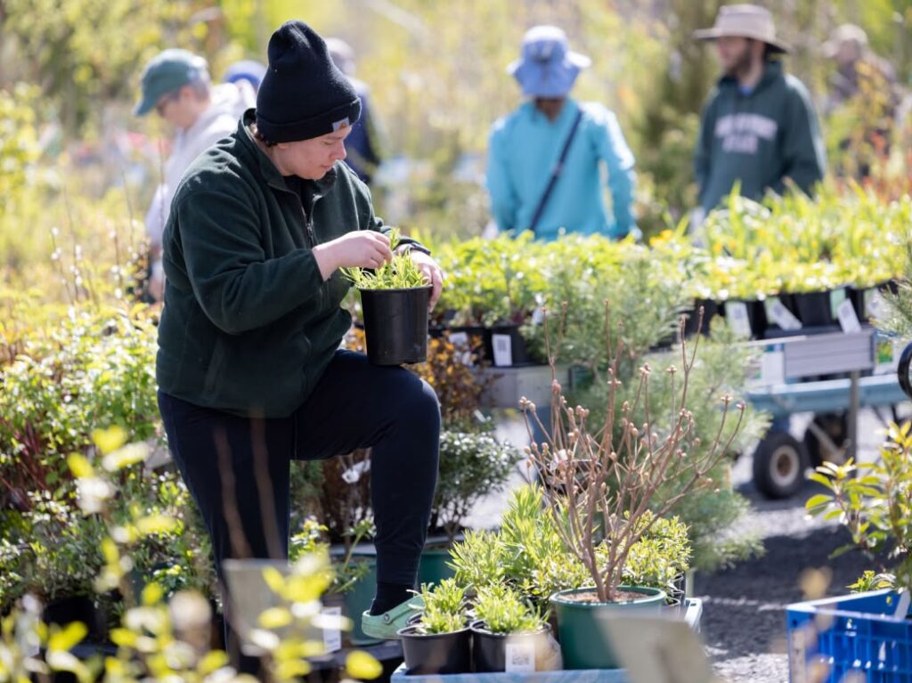 Plant shopping at Nasami Farm