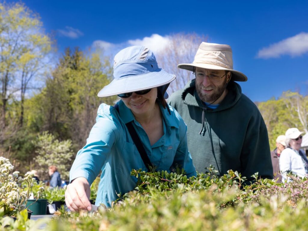 Plant sale at Nasami Farm