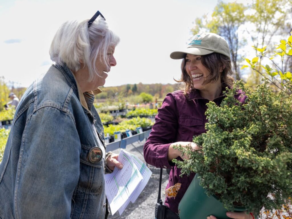 Native Plant Trust member and staff interacting at plant sale