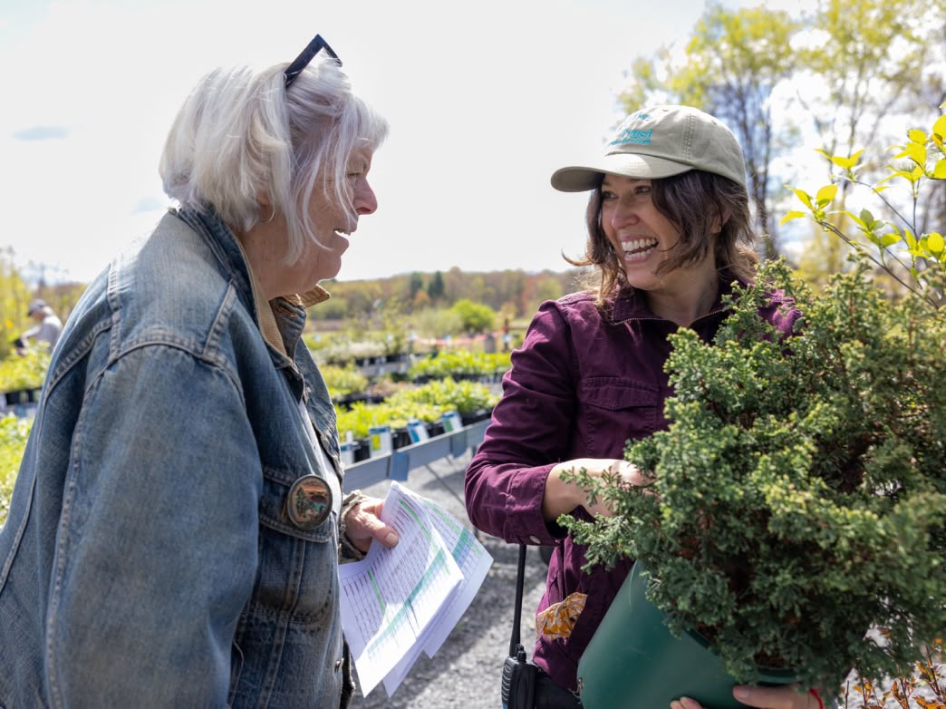 Native Plant Trust member and staff interacting at plant sale