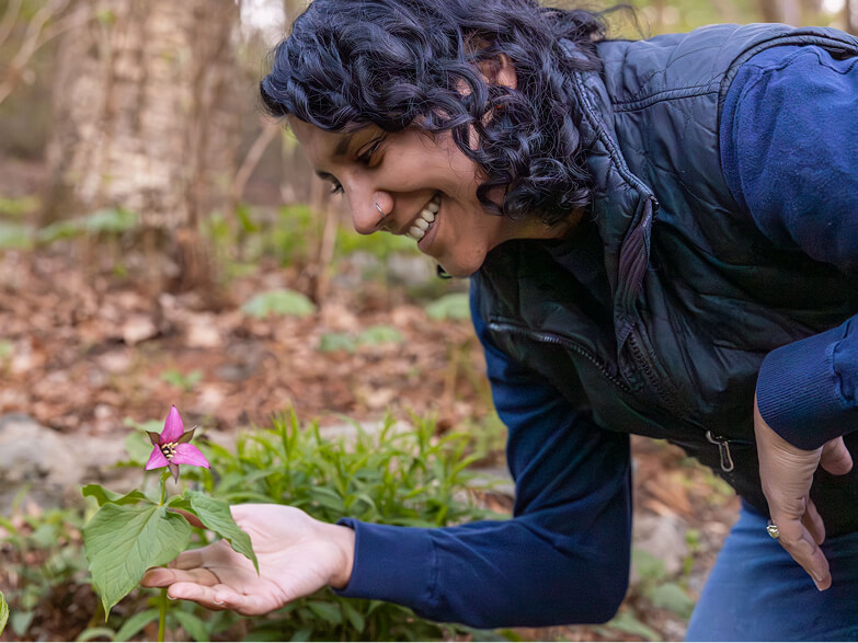 Woman admiring a purple flower in bloom at Garden in the Woods