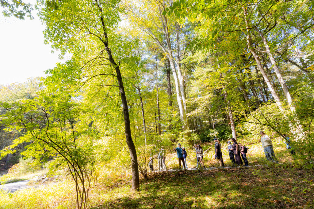 Native Plant Trust Announces Fall Programs
