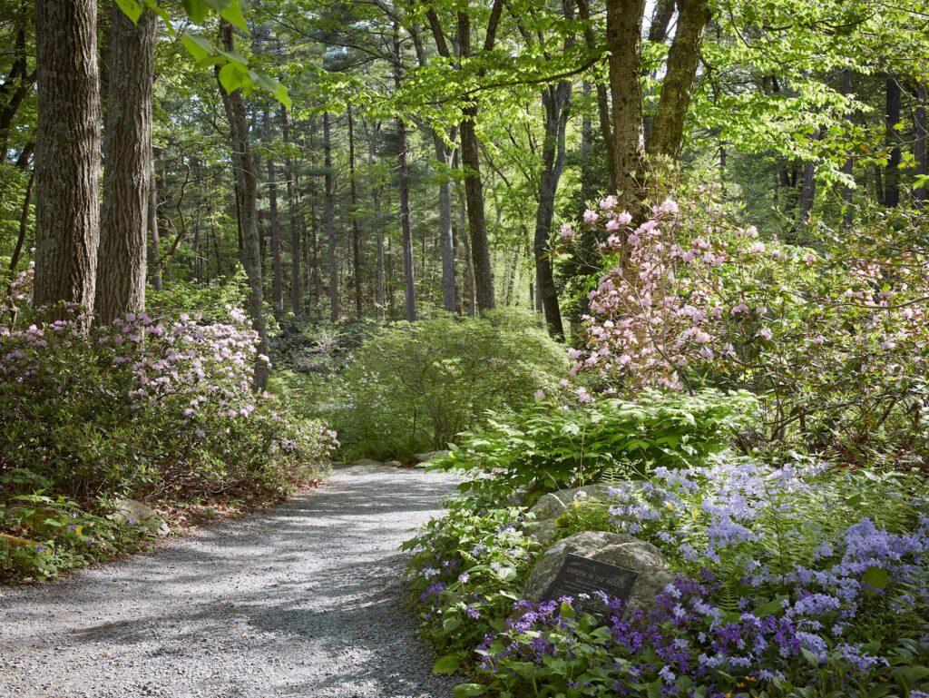 Designing with Native Plants